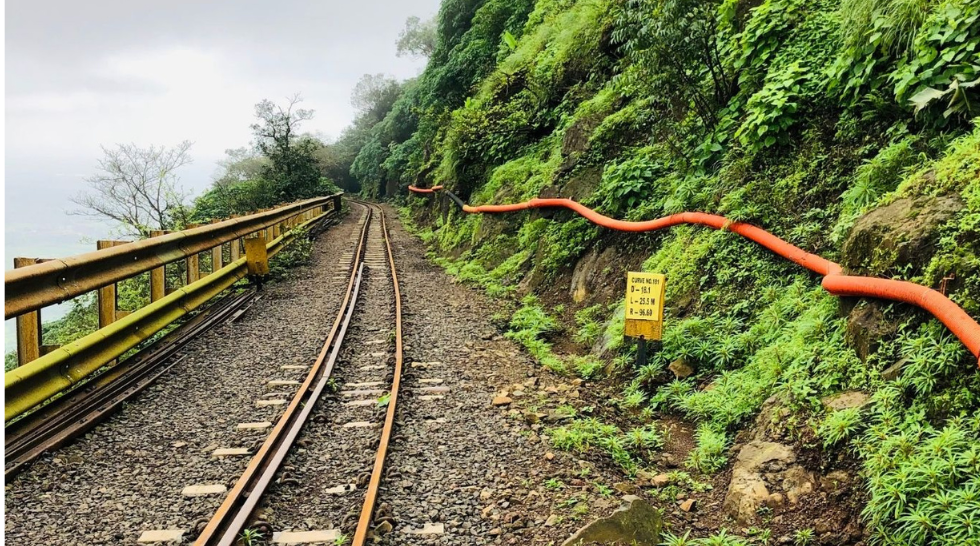 Domestic Tours (India)